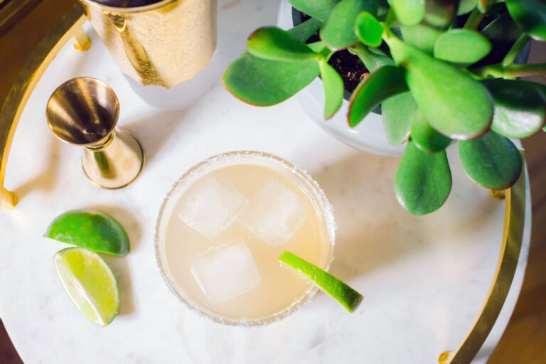 View from above of an Essensia Margarita wine cocktail featuring barware, greenery and cocktail in a rocks glass